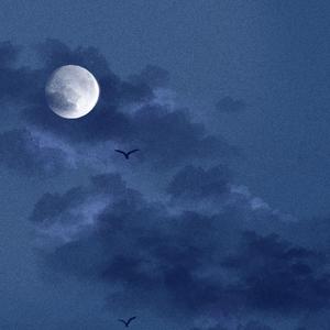 操逼欧美性生活
